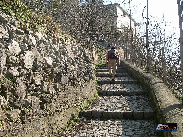 il rientro del viandante.JPG